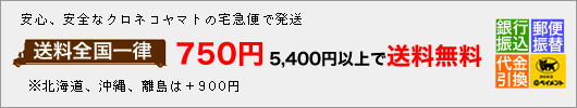 送料・お支払い方法