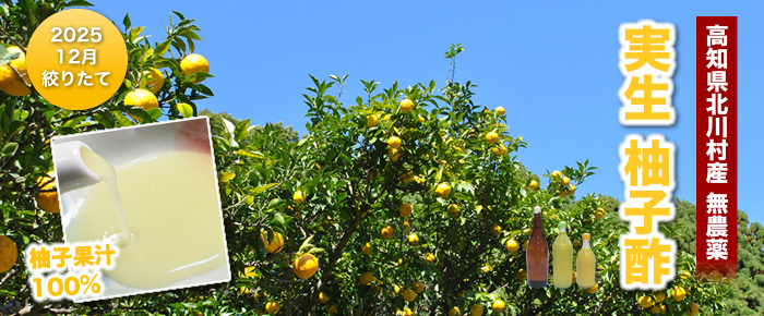 2020年度実生柚子酢(ゆのす)北川村産