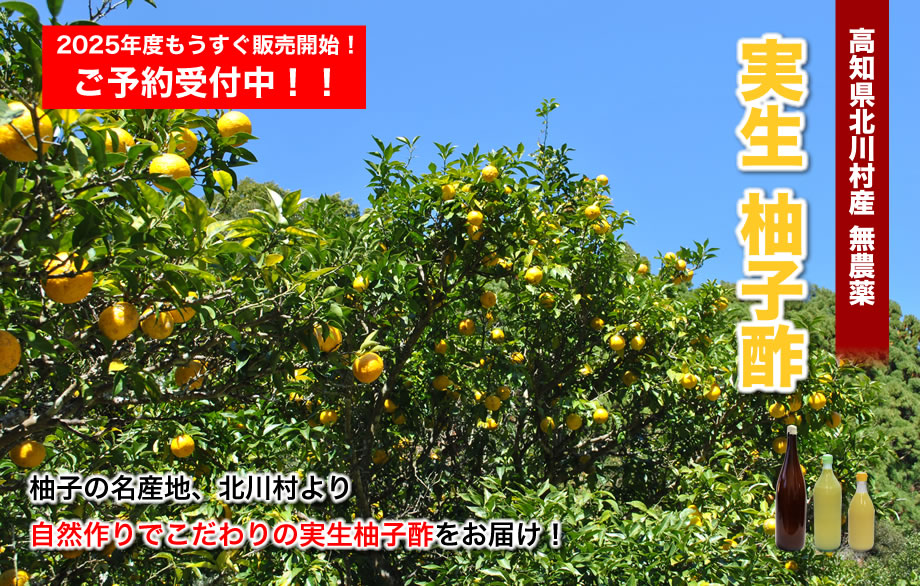 実生柚子酢(ゆのす)北川村産